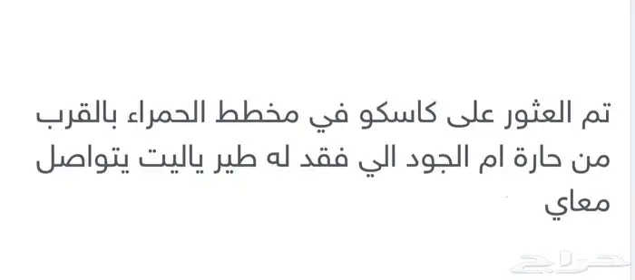 كاسكو مفقود 0
