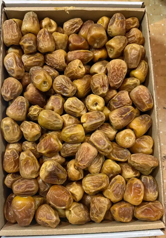 سكري مفتل فاخر 1