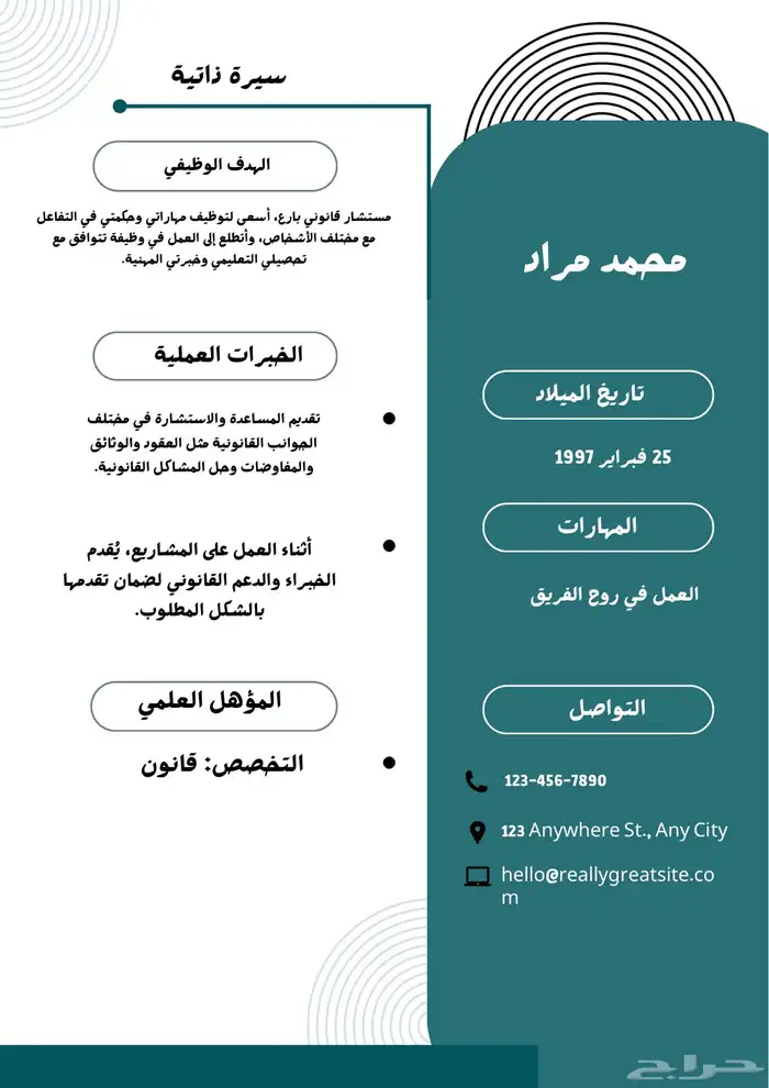 سيرة ذاتية احترافية 0