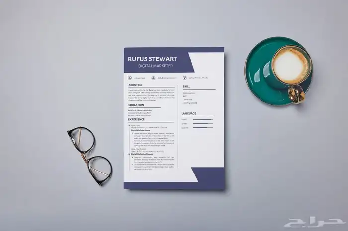 سيرة ذاتية CV 11