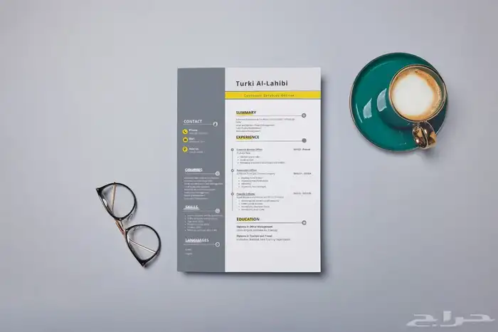سيرة ذاتية CV 17