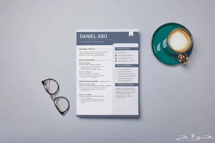 سيرة ذاتية CV 9