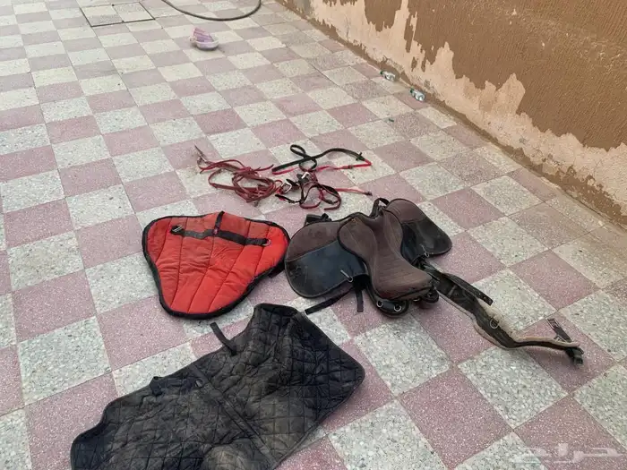 سرج خيل مع اغراضه 5