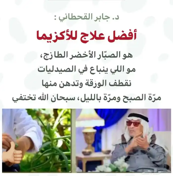 للبيع شتلات أوليفيرا صبار نبات الصبار 4