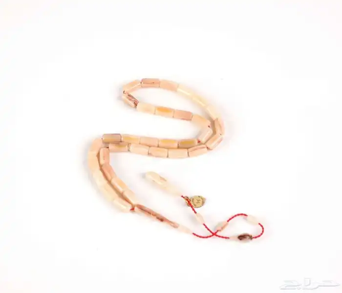 سبح مميزه 13