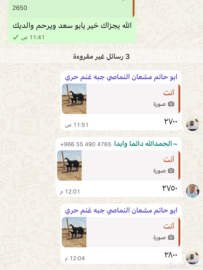بيعت الله يبارك له نجديه متوم 2