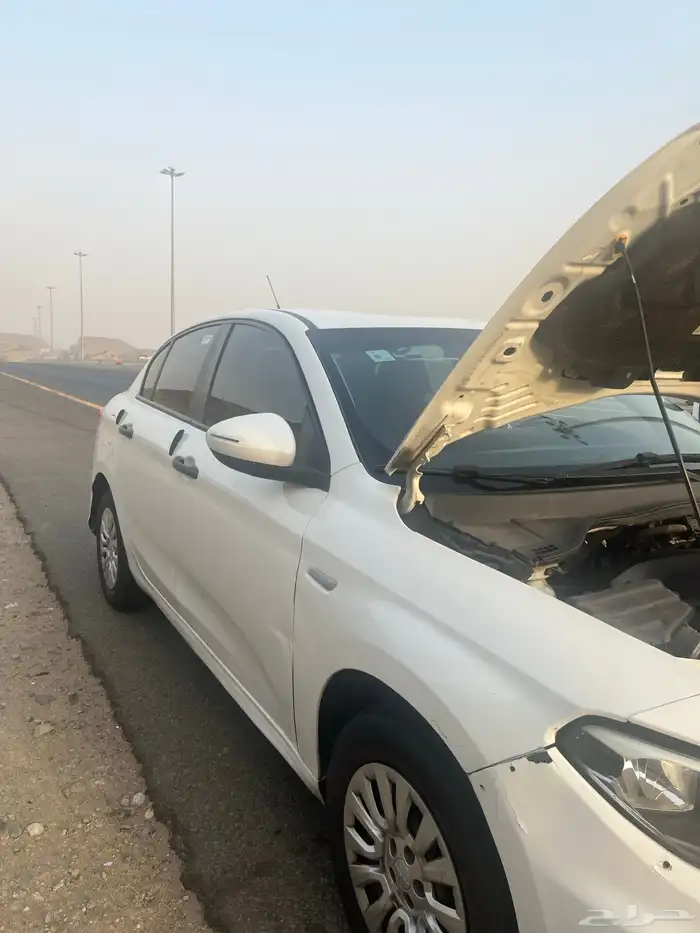 دوج نيون 8