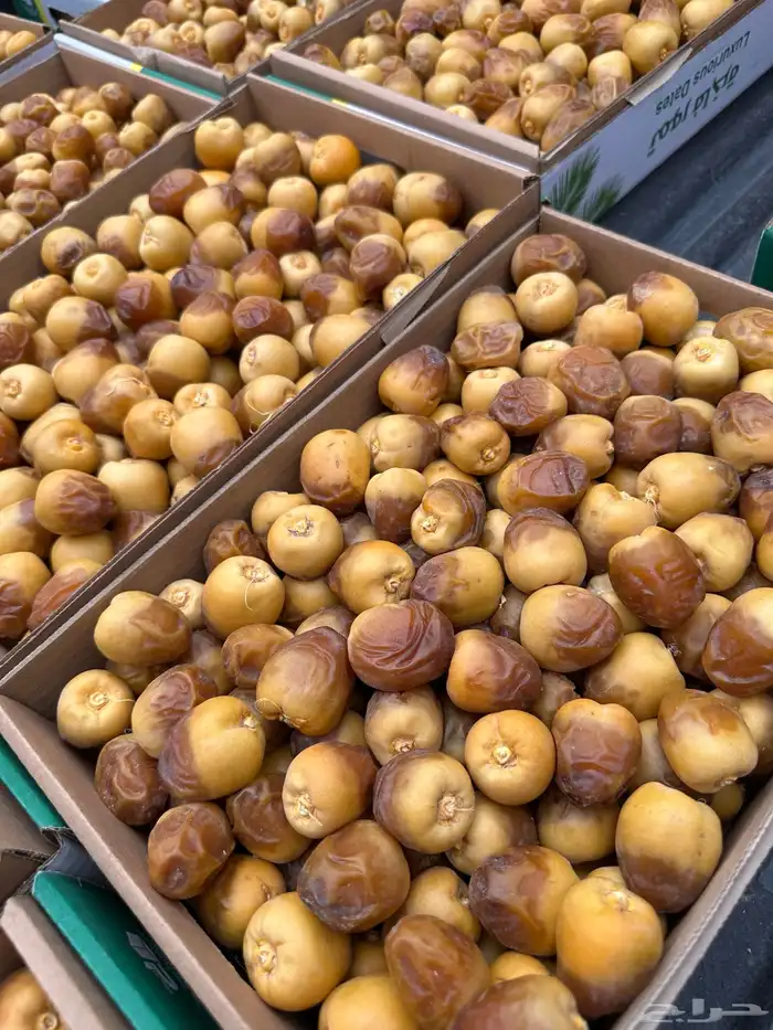 تمر سكري فاخر مناصيف - رطب 0