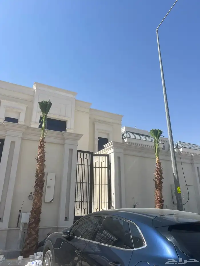 زراعه نخل واشنطونياء 3