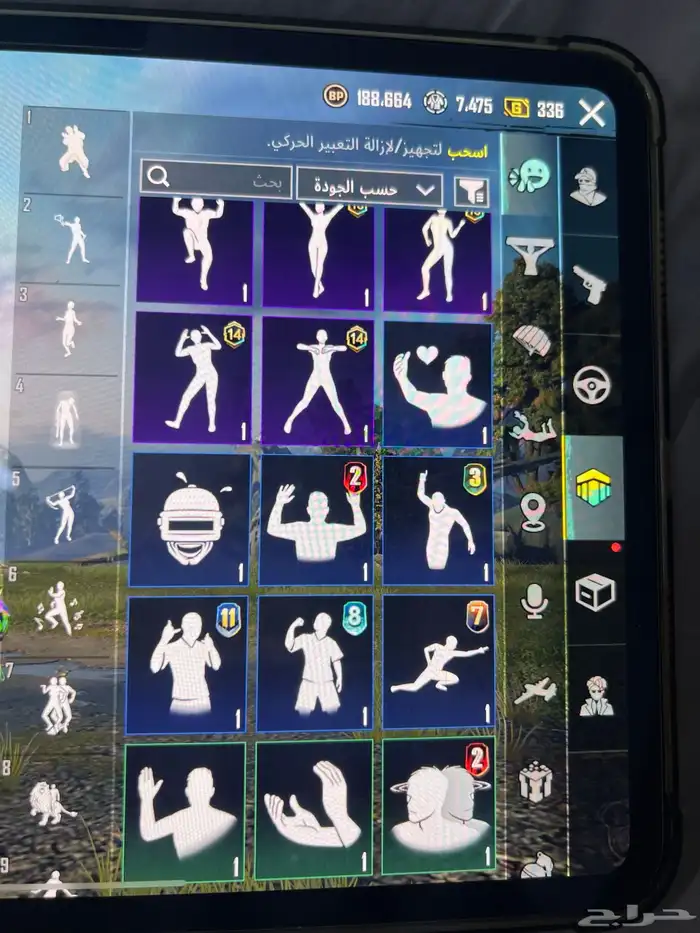 حساب ببجي فخم 10