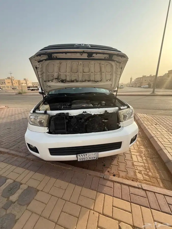 سكويا 20