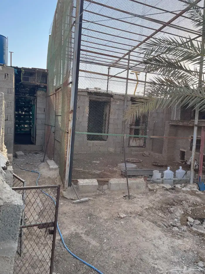 عشة للبيع كبيرة جدا الموقع الخرج 3