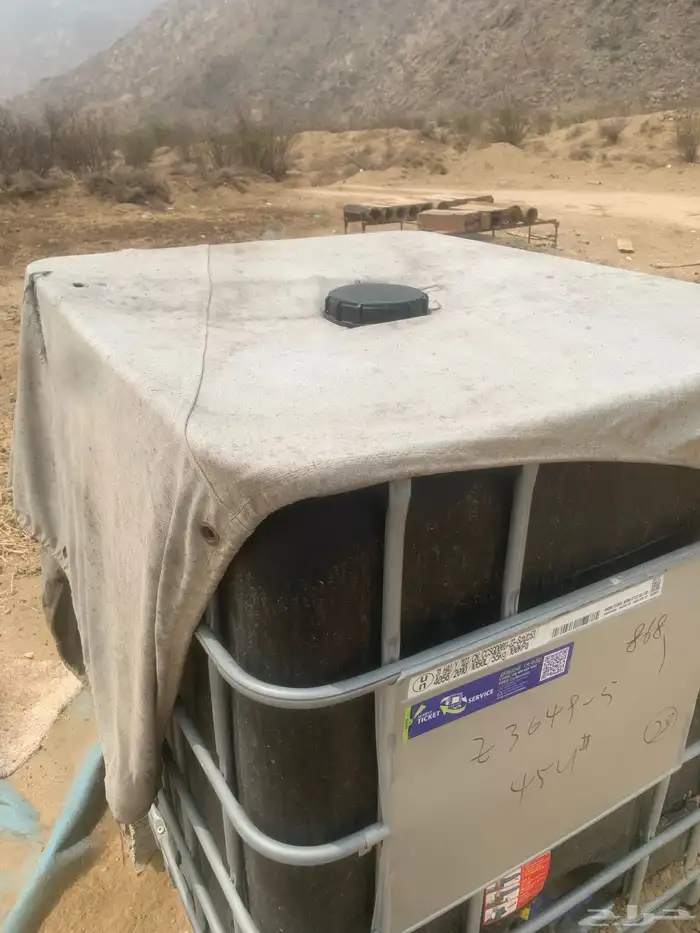 دجاج بلدي و فيومي 6