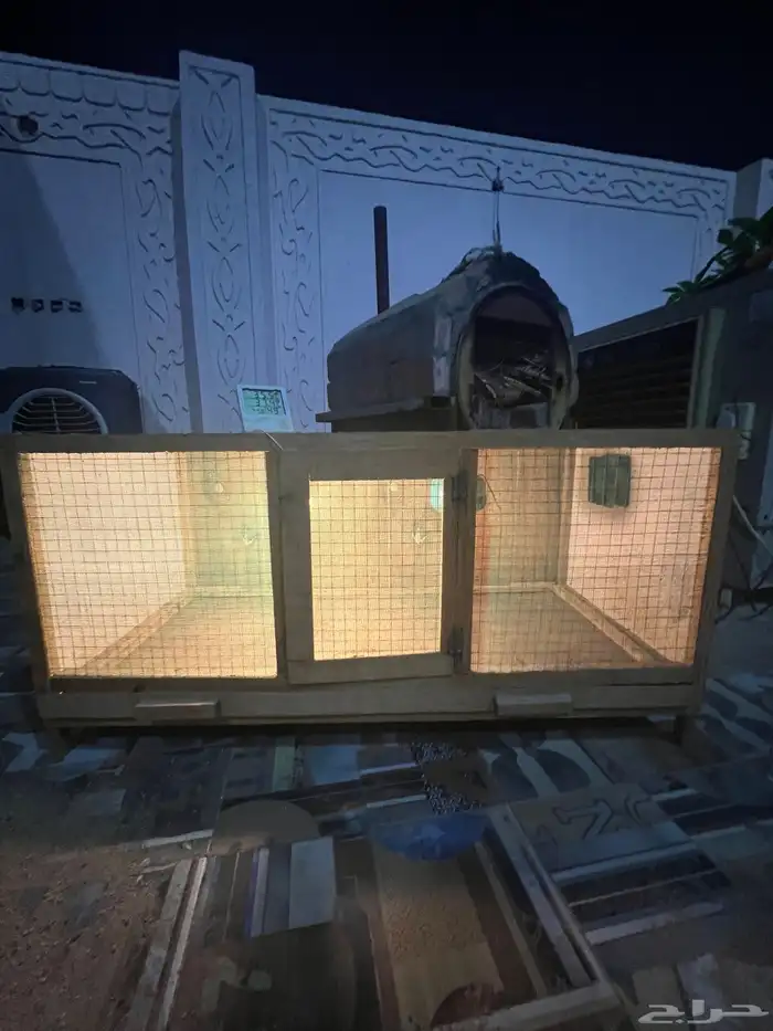 حاضنة صوص 4