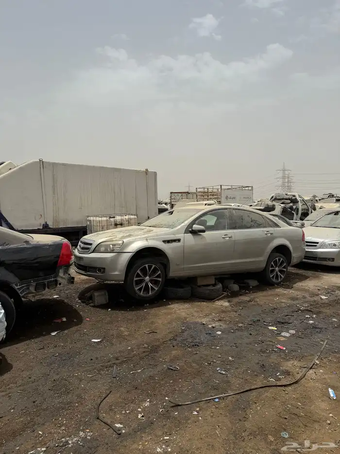 قطع كابرس ولومينا 1