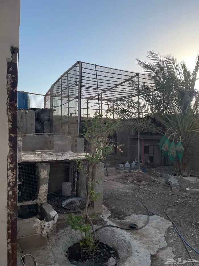 عشة للبيع كبيرة جدا الموقع الخرج 1