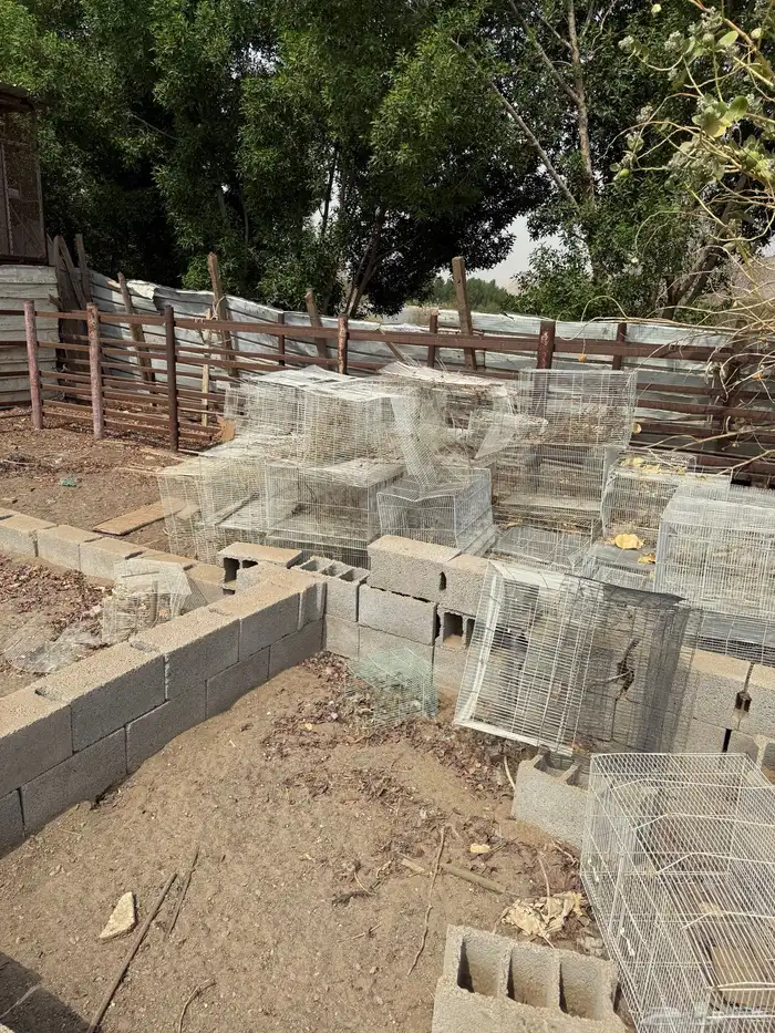 اقفاص طيور601 للبيع 0