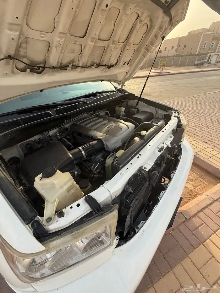 سكويا 21