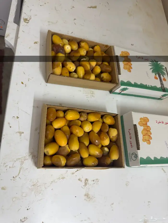 تمر سلج واخلاص وخنيزي وغره للبيع 5