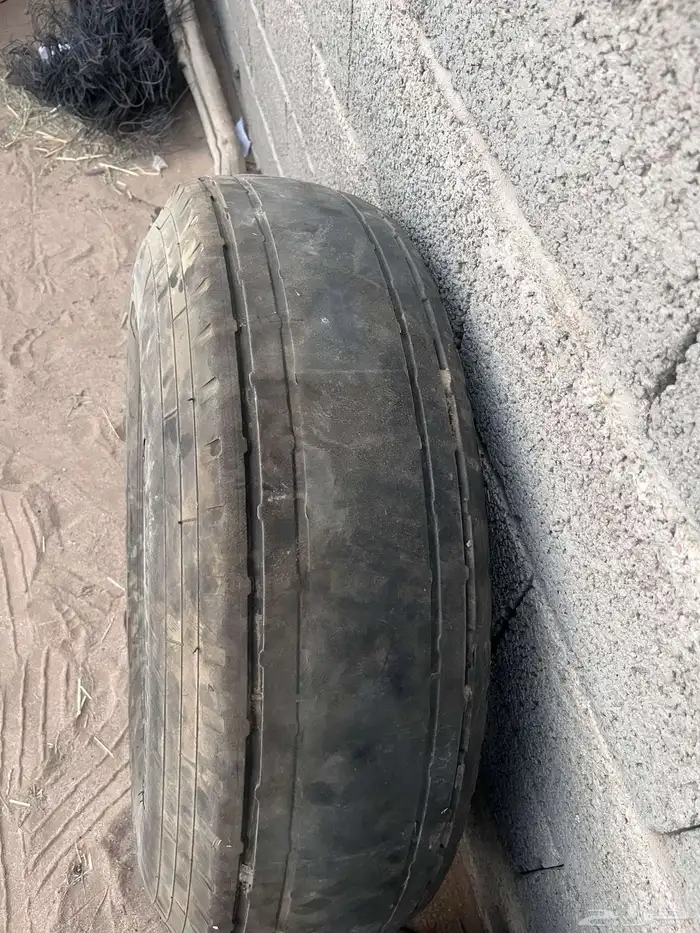 جنوط جيب نجمه للبيع 2