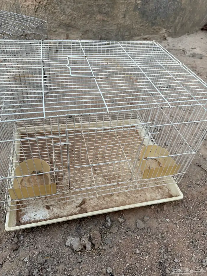 للبيع شبك ارنب وطيور دجاج 1