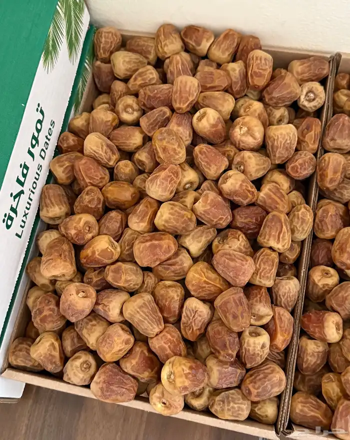 تمر سكري مفتل وجالكسي حبة وسط نظيف 2