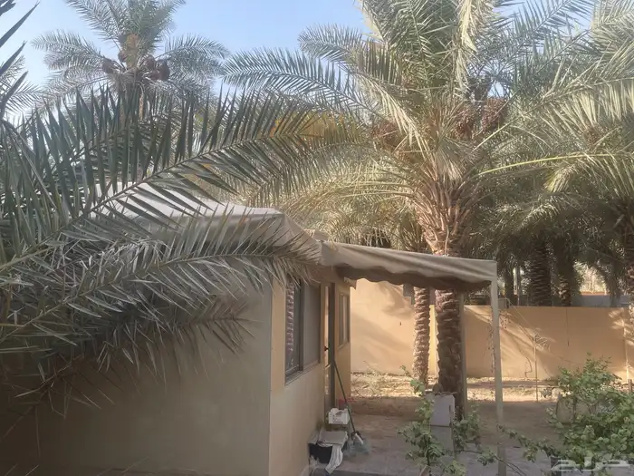 للبيع الخيمة 0