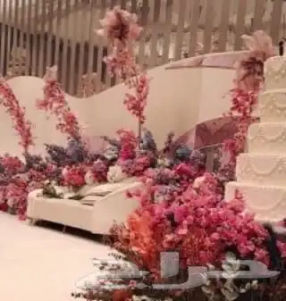 قاعه 5 نجوم بفندق ارين المطار حي النزهه عرض اليوم الوطني 7500 6