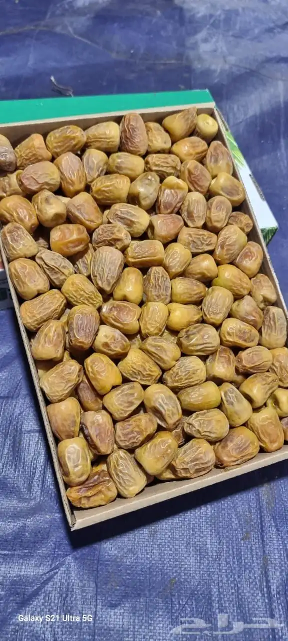تمر سكري فاخر 1