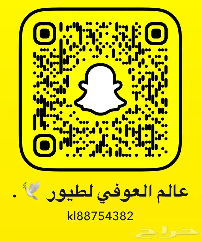 للبيع طيور روز - فروخ كروان - مستلزمات طيور 0