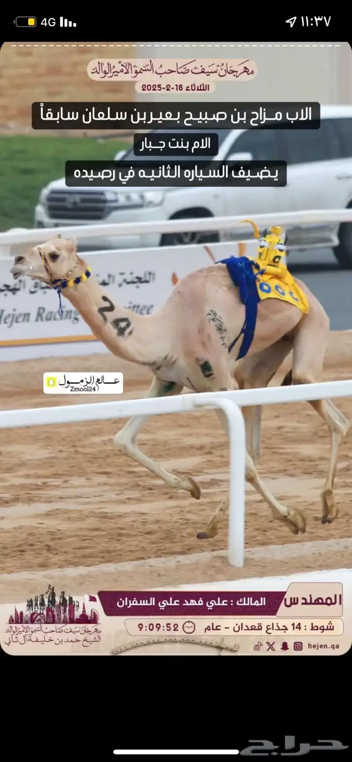 حاشي سباق للبيع 0
