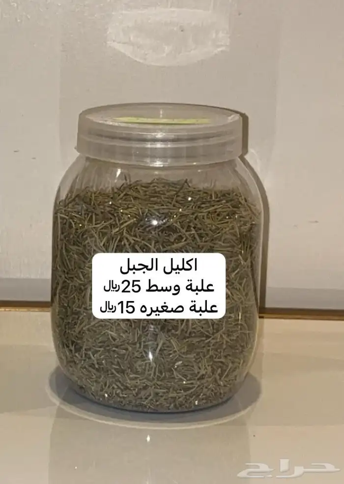 حنا لميس 2