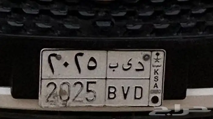 لوحة د ى ب 2025 0