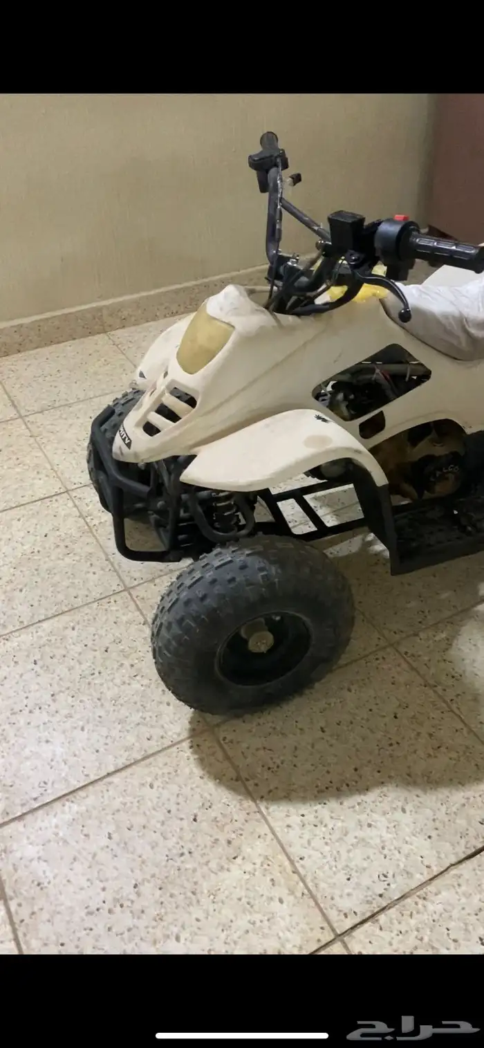 دباب شغال طيب بلحيل والي يبي مقطع يتواصل واتس اب 3