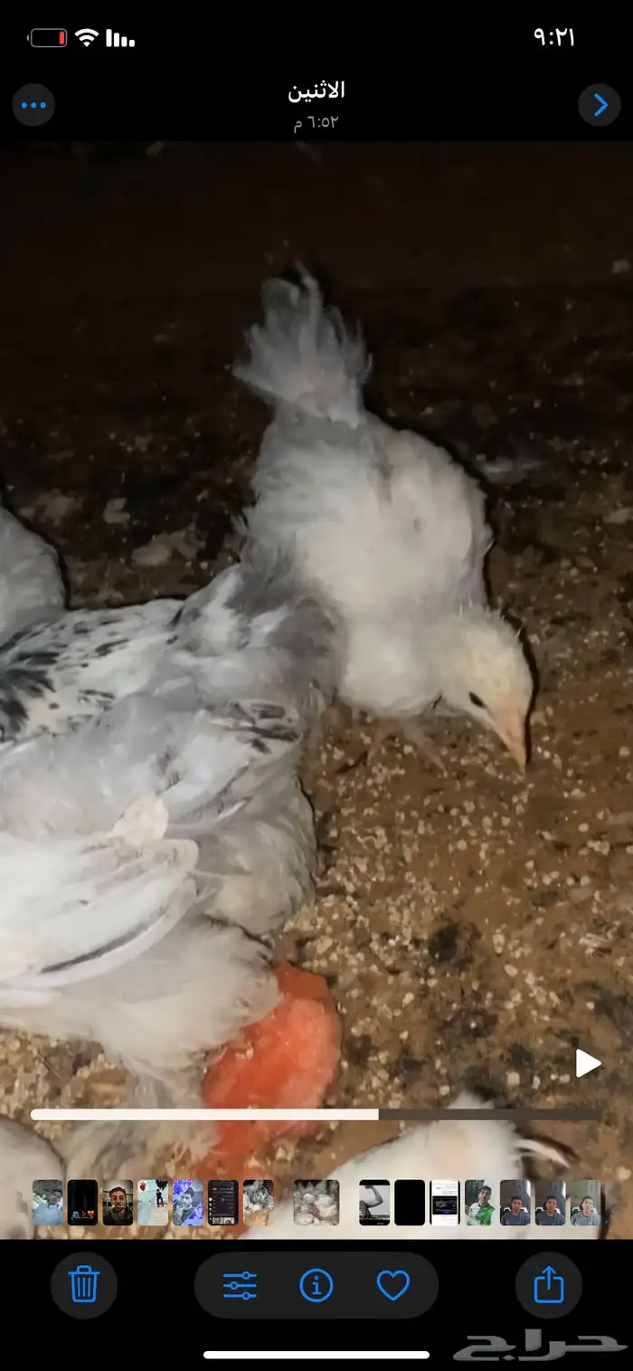 براهما 2
