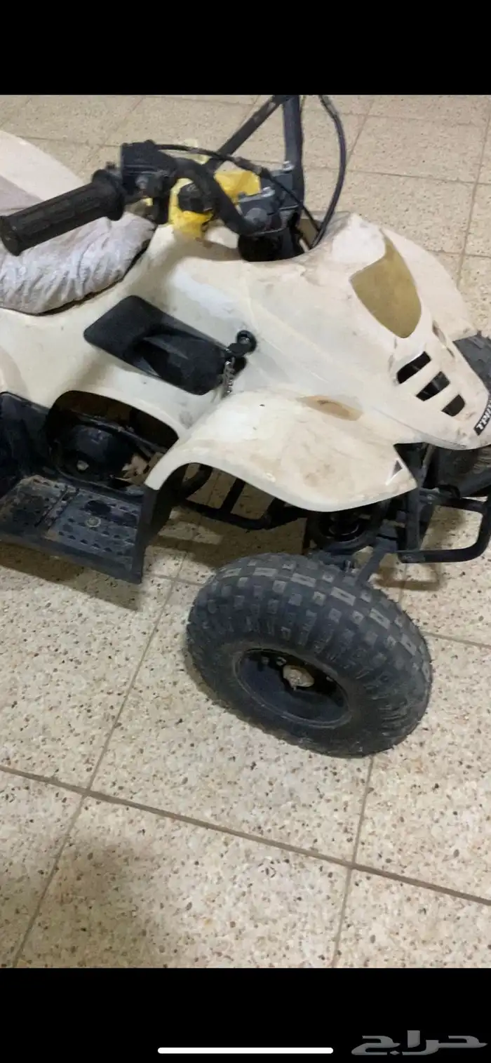 دباب شغال طيب بلحيل والي يبي مقطع يتواصل واتس اب 0