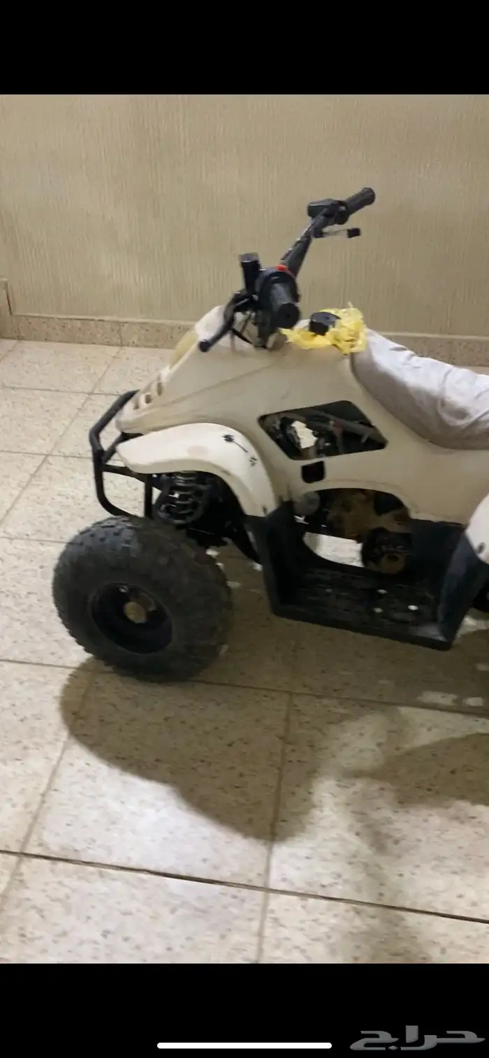 دباب شغال طيب بلحيل والي يبي مقطع يتواصل واتس اب 7