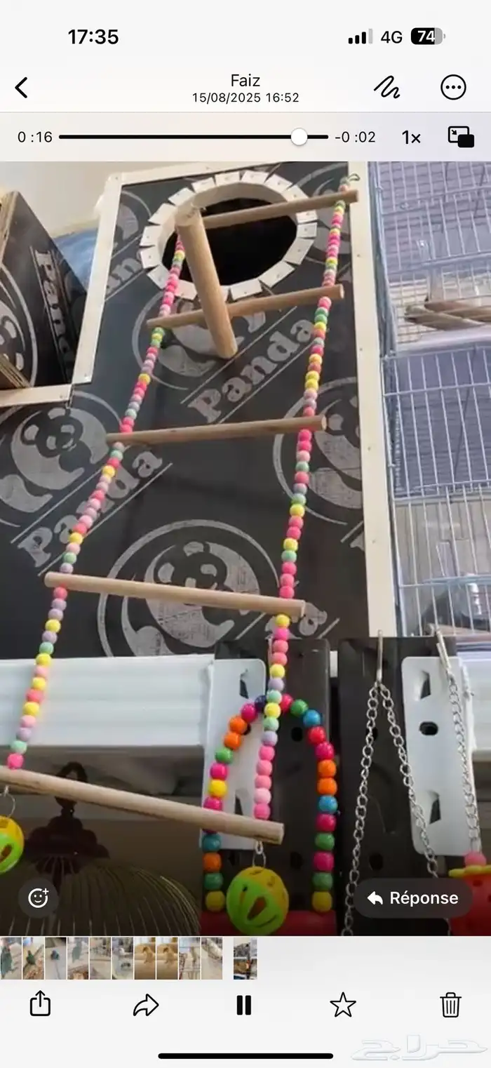 محمية الطيور المغردة 1