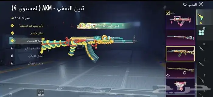 حساب ببجي للبيع الحساب فخم 13