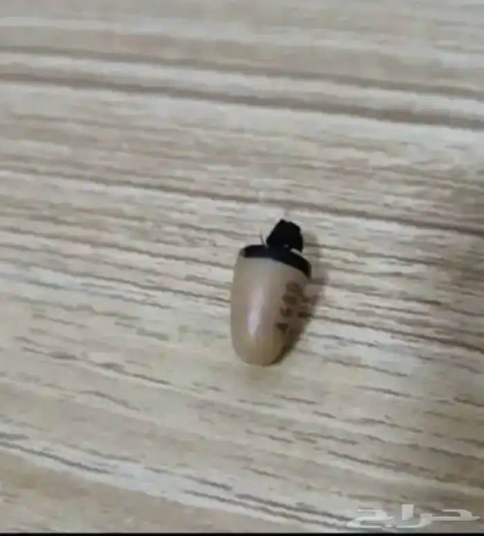 سماعه غش 1