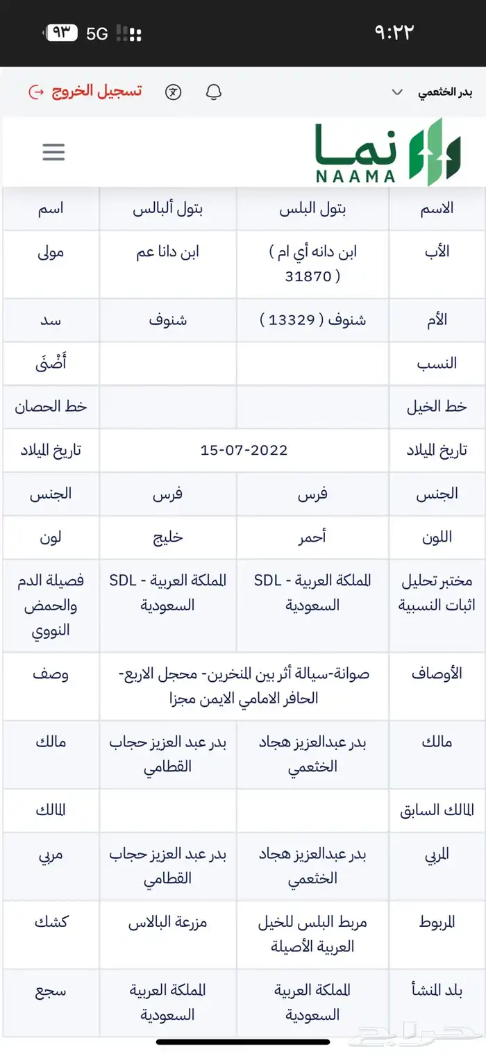 فرس عربية اصلية للبيع 1