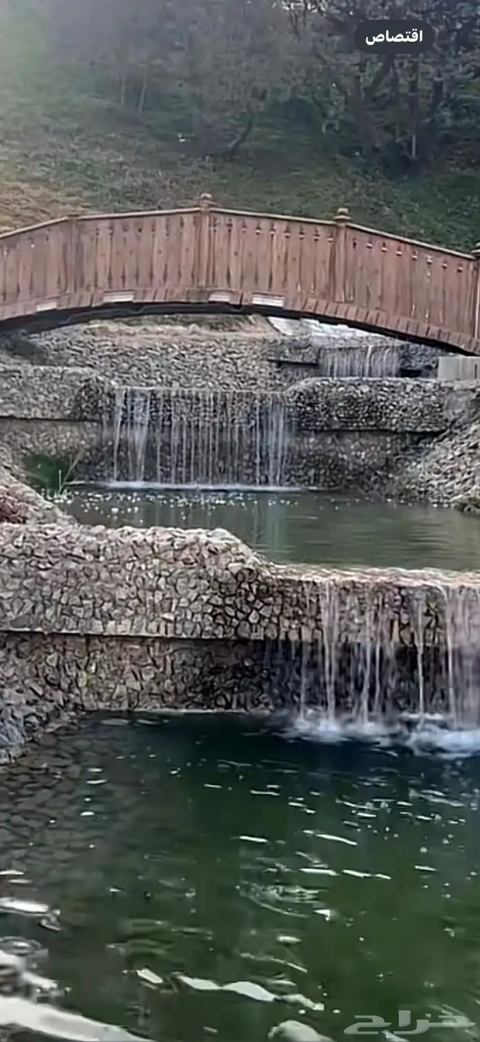 للجار في بلجرشي بسنه 7