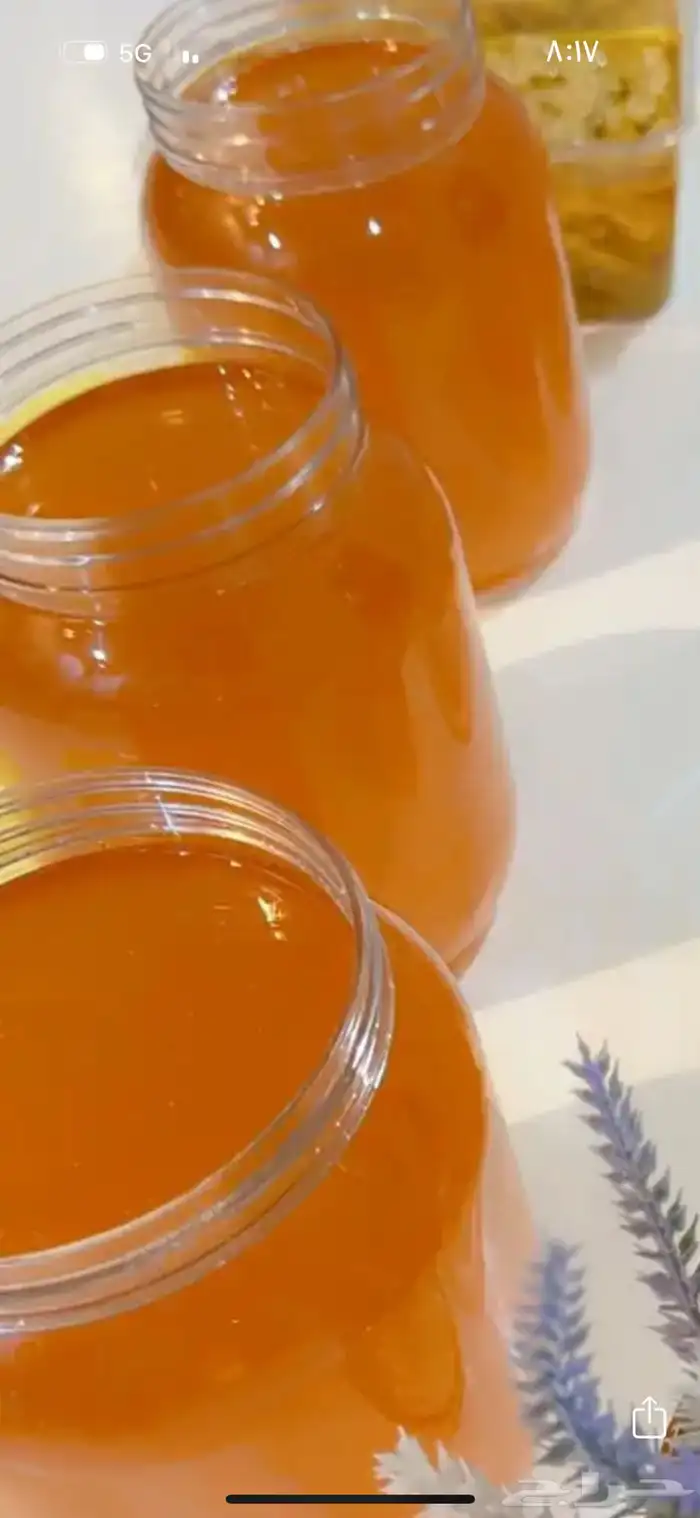 سمن ورضيفه 1