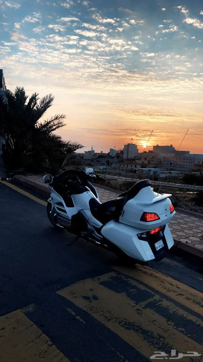 دباب رحال هوندا 2012 0