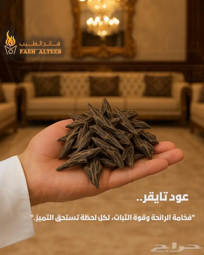 عرض على العود 13