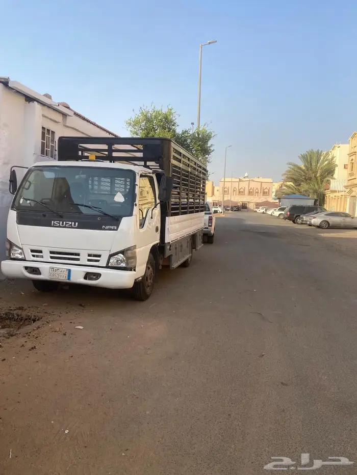 ديانه لي الايجار الشهري بتبوك 0