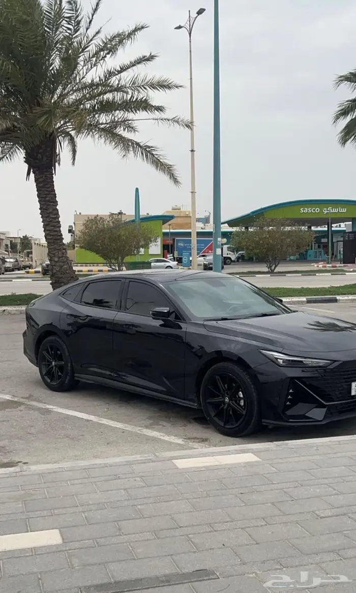 شانجان يوني في 2024 للتنازل بدون مقابل 1