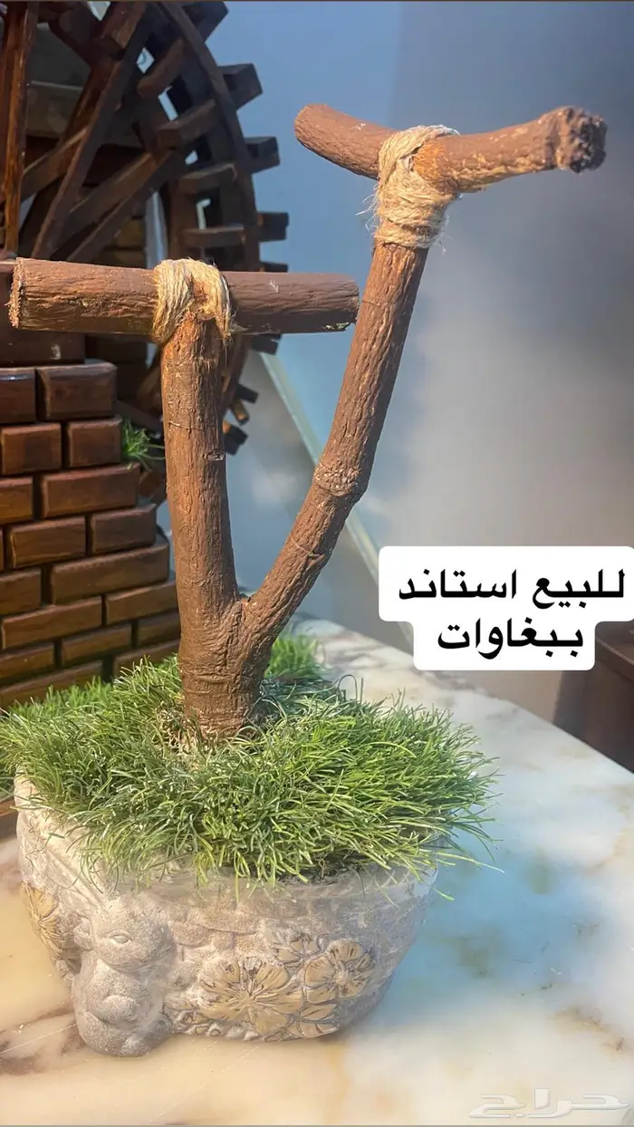 للبيع استاند ببغاوات 0