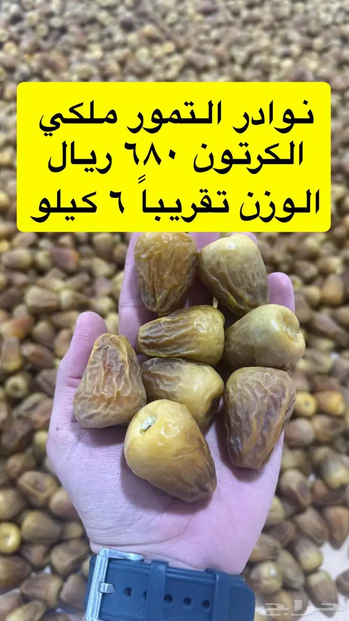 سكري مفتل 2