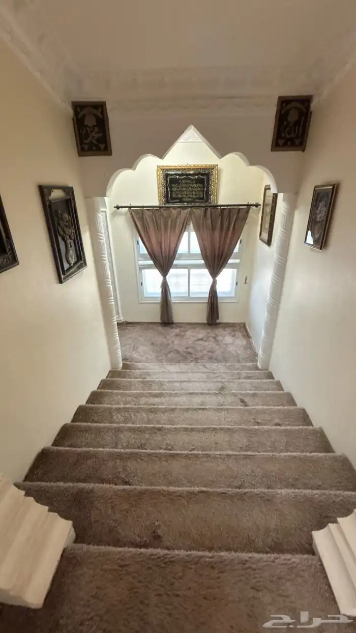 حلباء 1